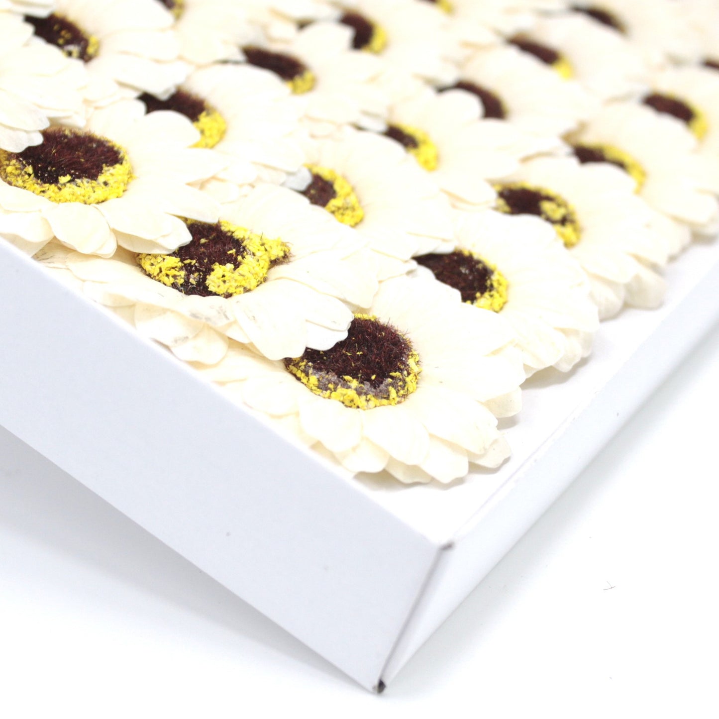 Fleur de tournesol décorative moyenne - ivoire