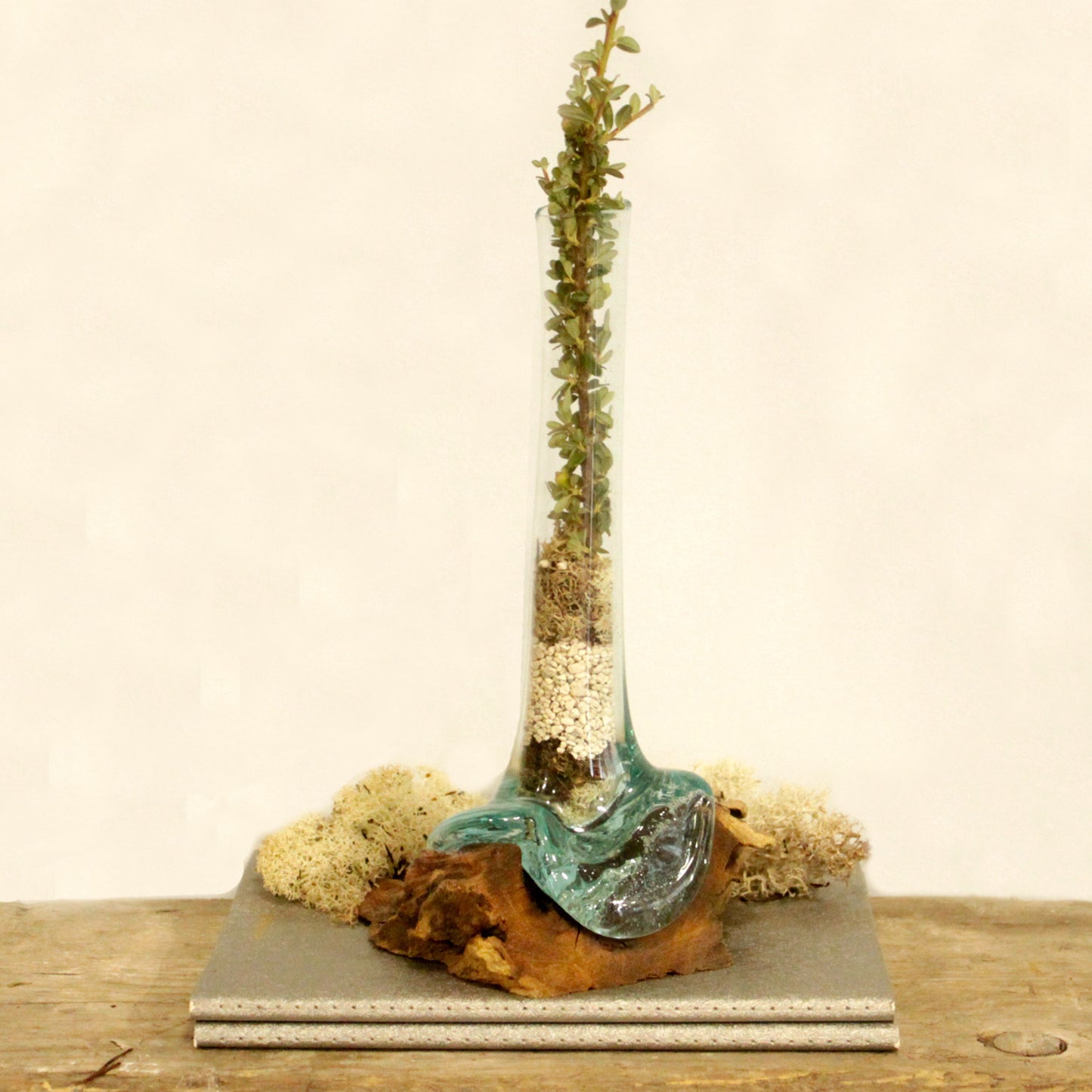 Verre fusionné sur bois - Vase