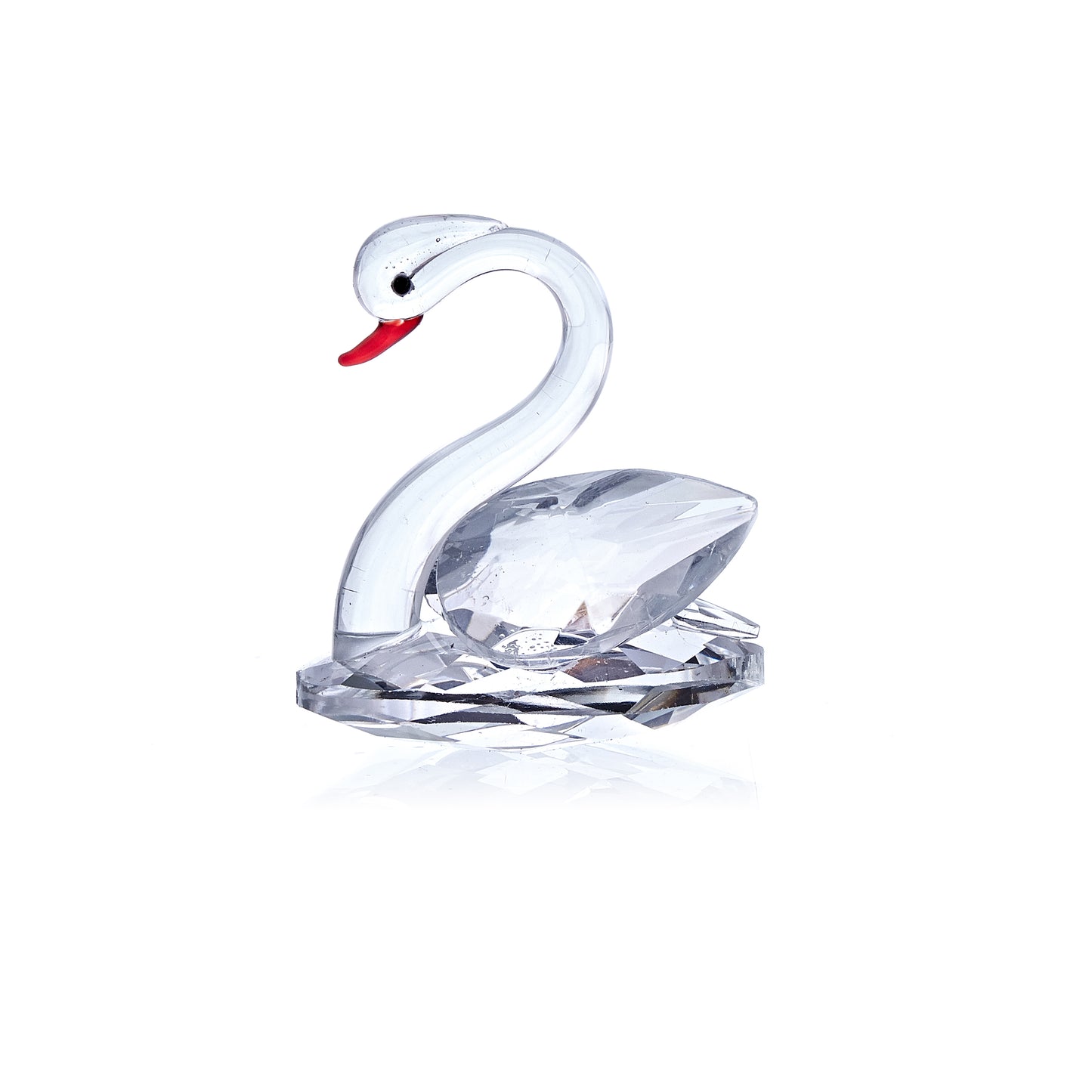 Cygne blanc