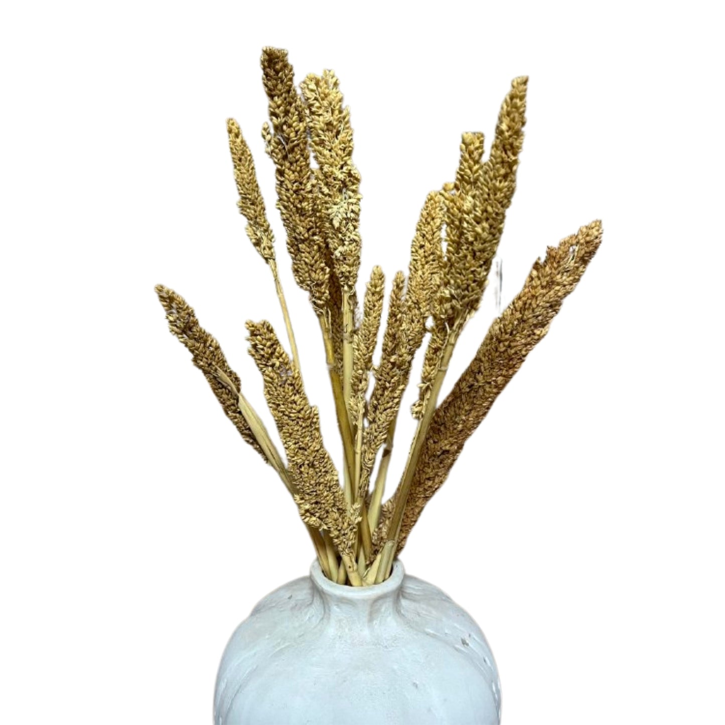 Bouquet de Cantal - Naturel