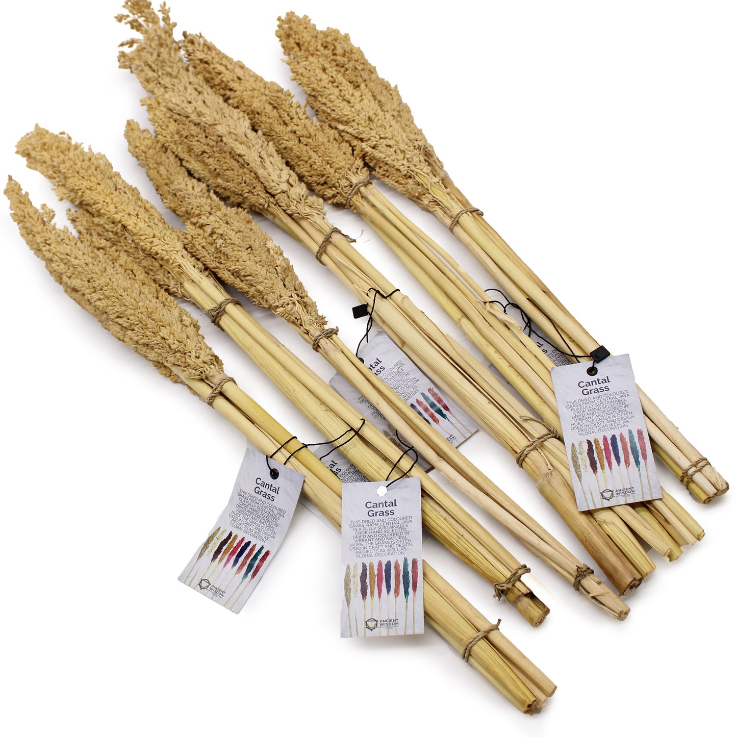 Bouquet de Cantal - Naturel