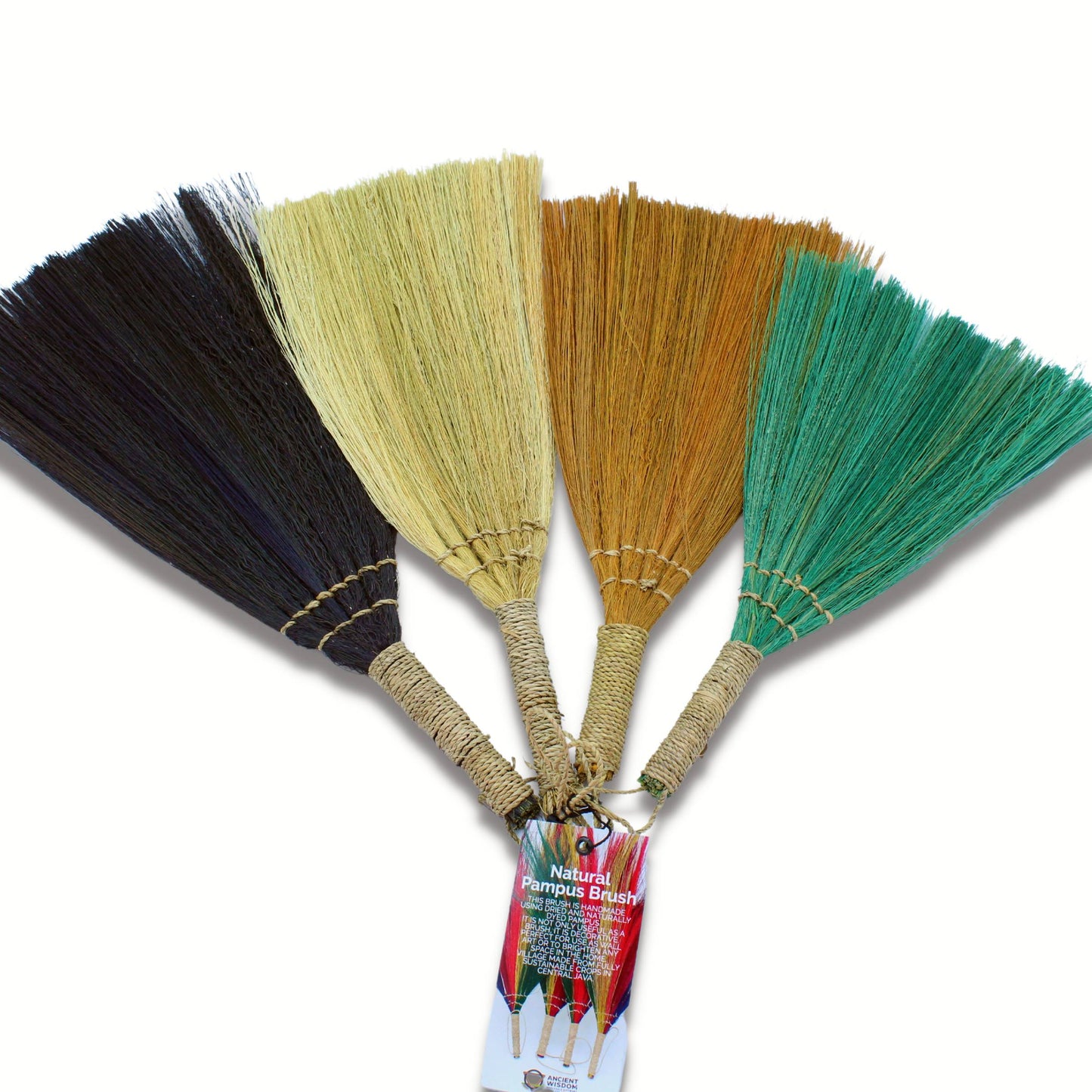 Ensemble 4 - Balai éventail Pampas - Couleurs et tailles variées