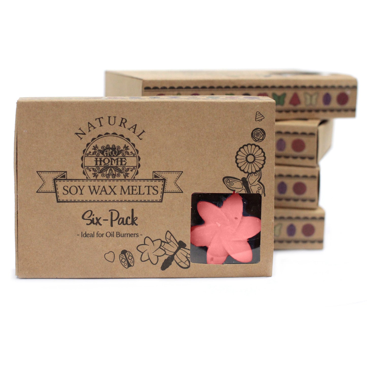 Coffret de 6 fondants à la cire de soja - Magnolia japonais