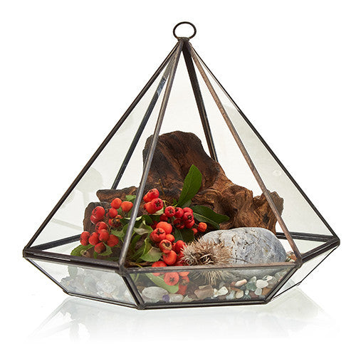 Terrarium en verre - Grand Diamant
