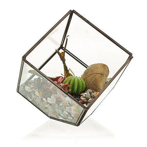 Terrarium en verre - Cube d'angle