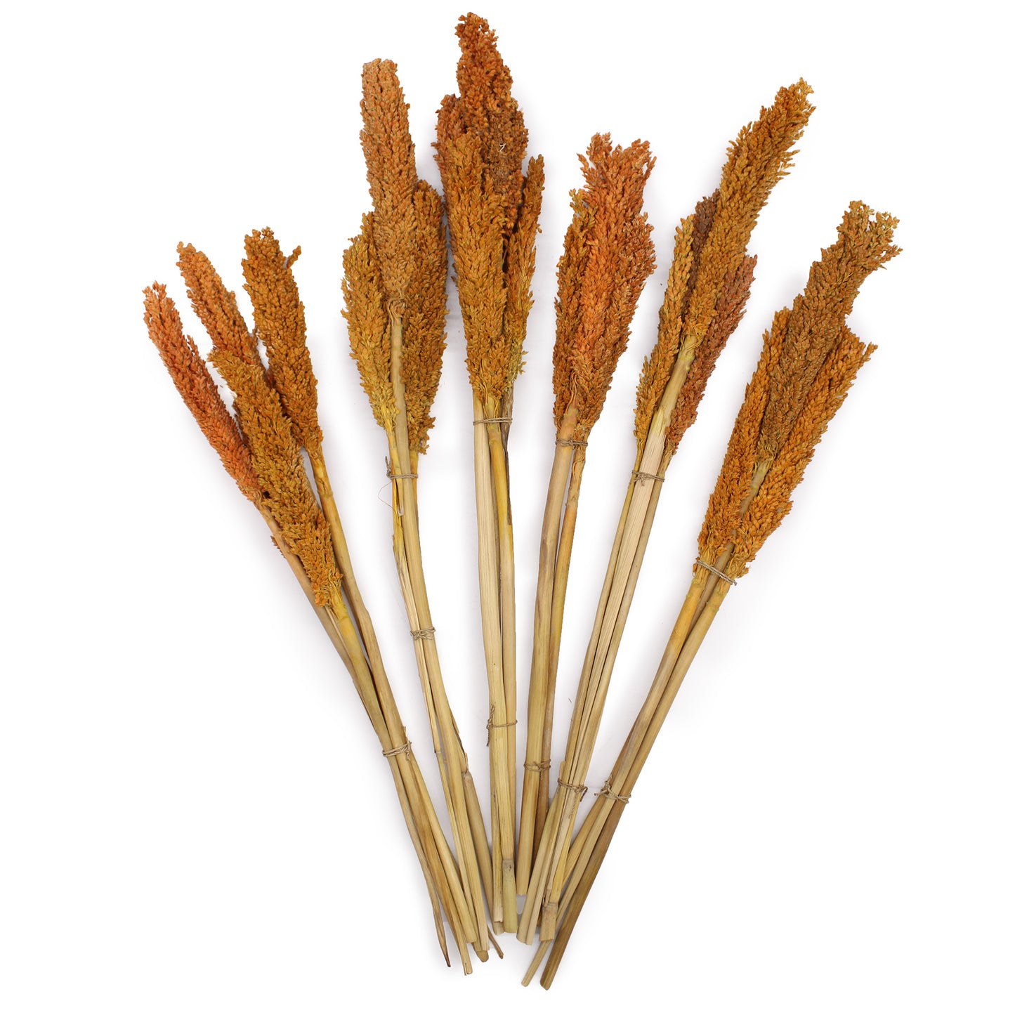 Bouquet d'herbes du Cantal - Orange