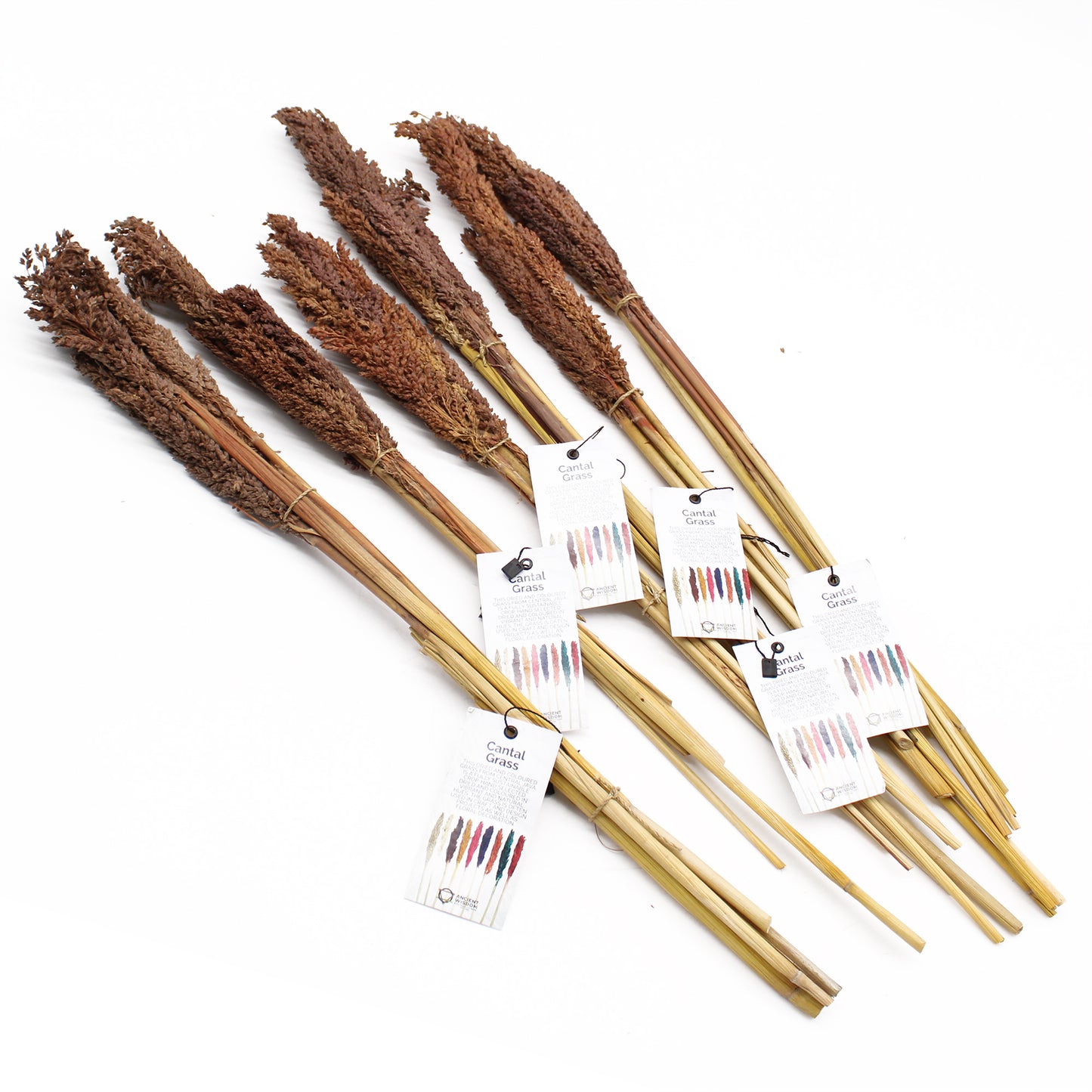 Bouquet d'herbes du Cantal - Chocolat