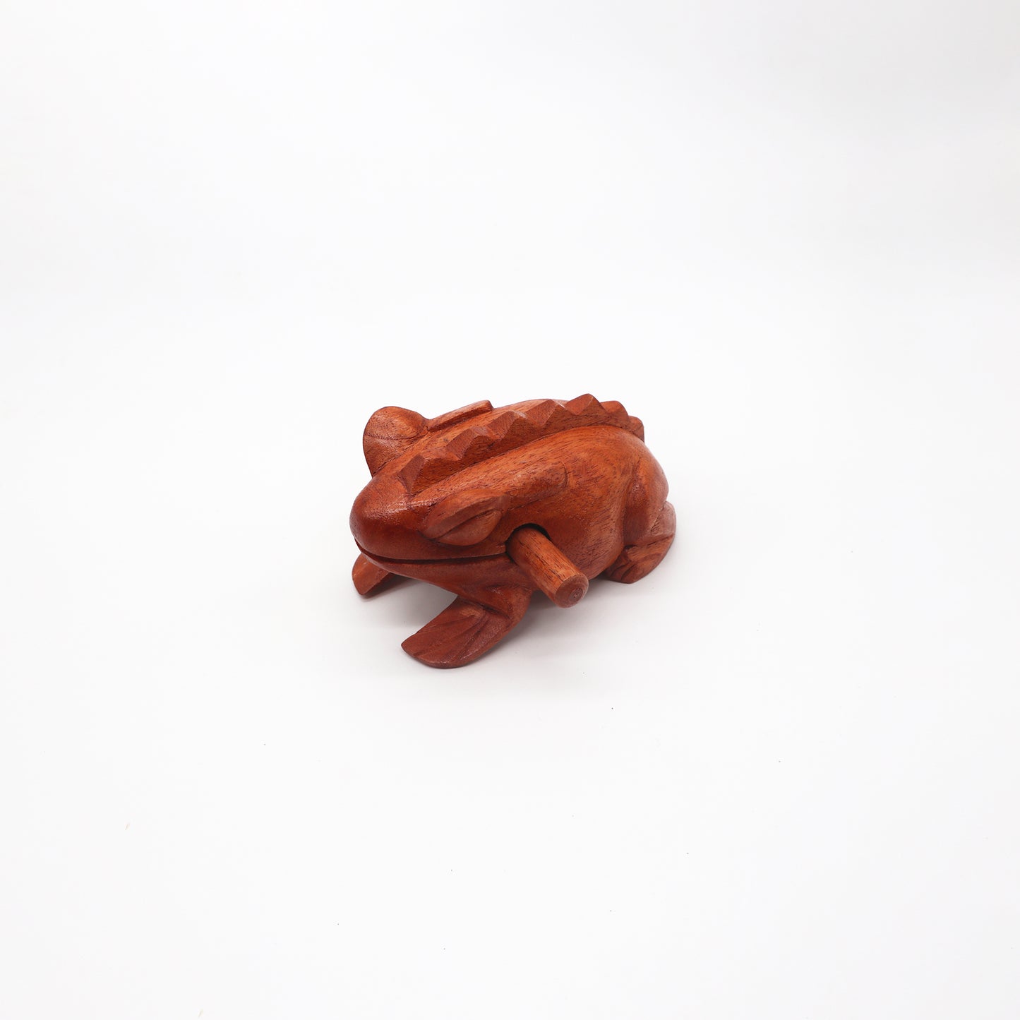 Grande grenouille des bois croquante