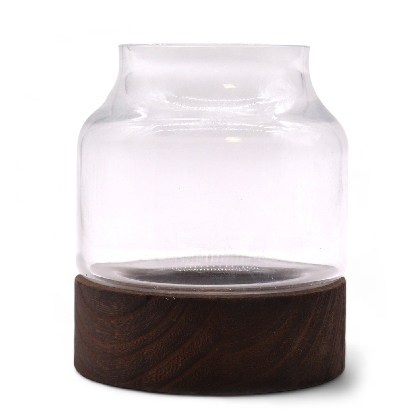 Petit Terarium en bois de tung foncé - 12x13cm