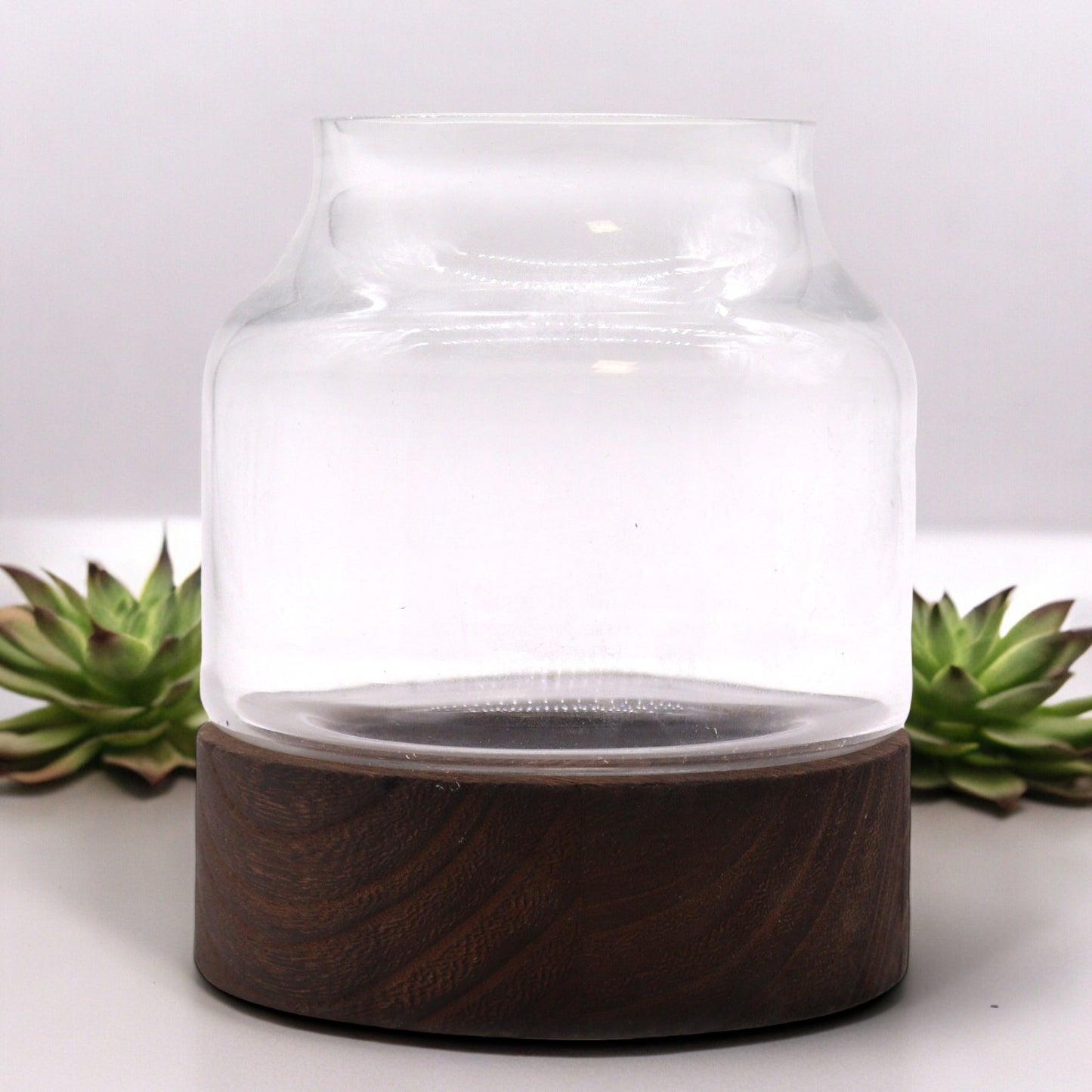 Petit Terarium en bois de tung foncé - 12x13cm