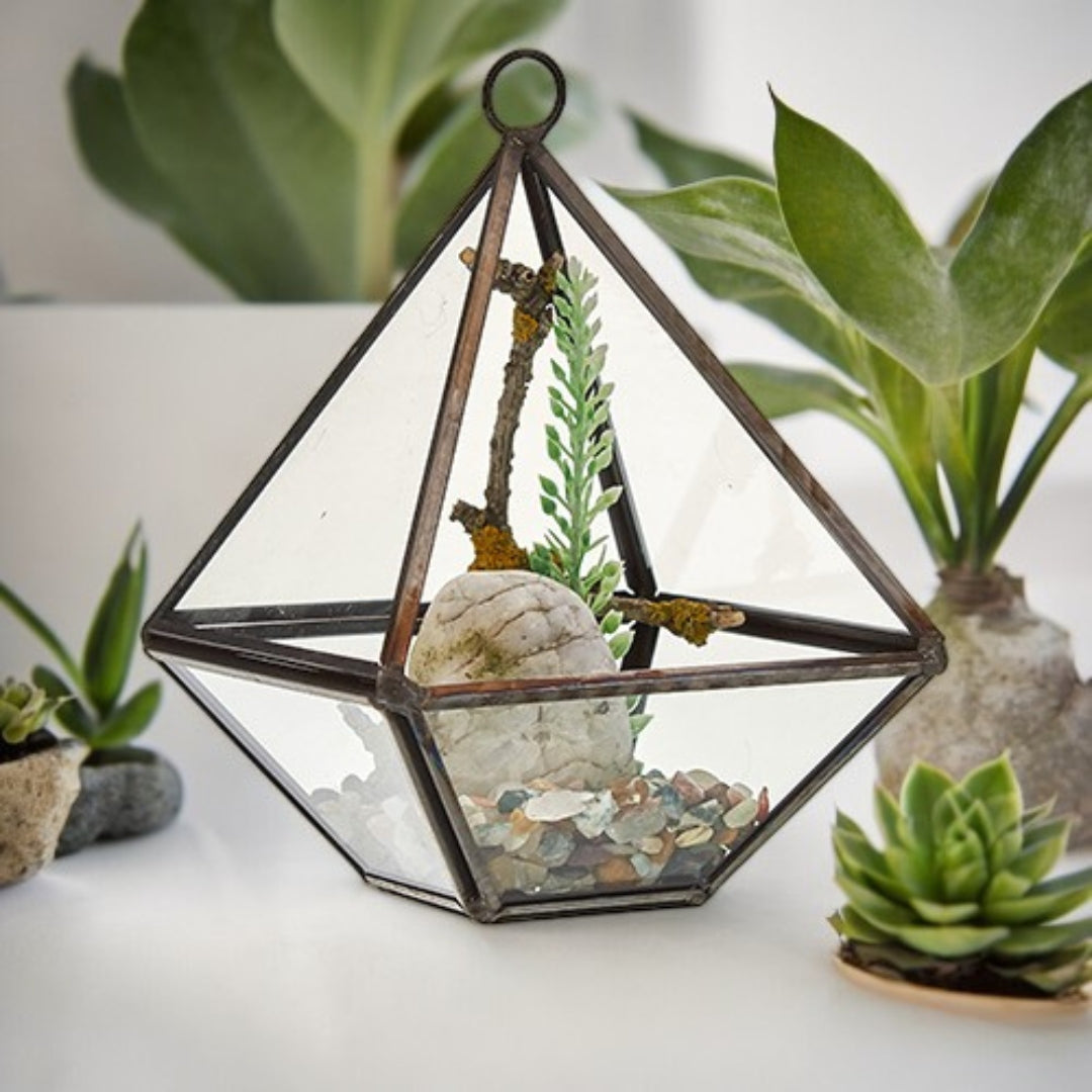 Terrarium en verre - Petit Diamant