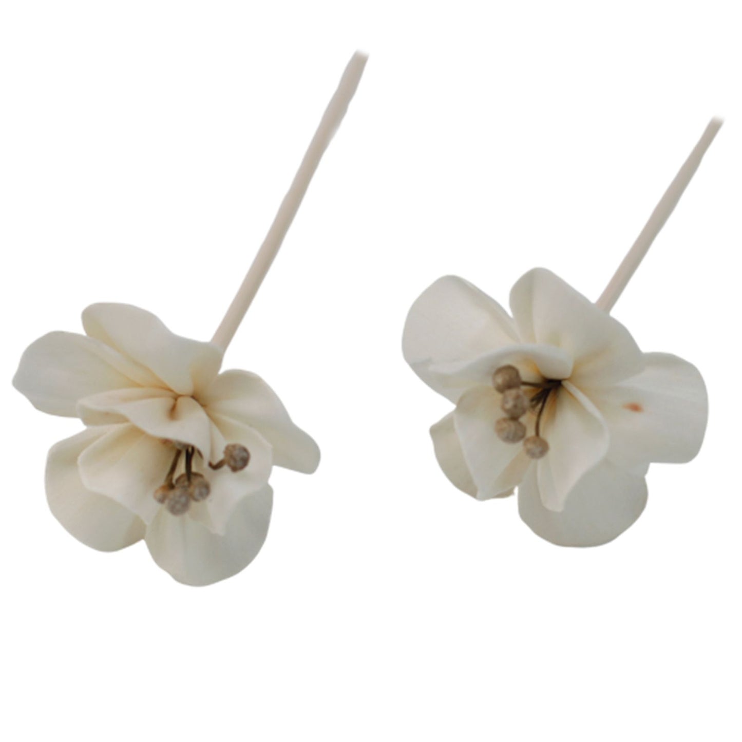 Diffuseur de fleurs naturelles - Lys en roseau