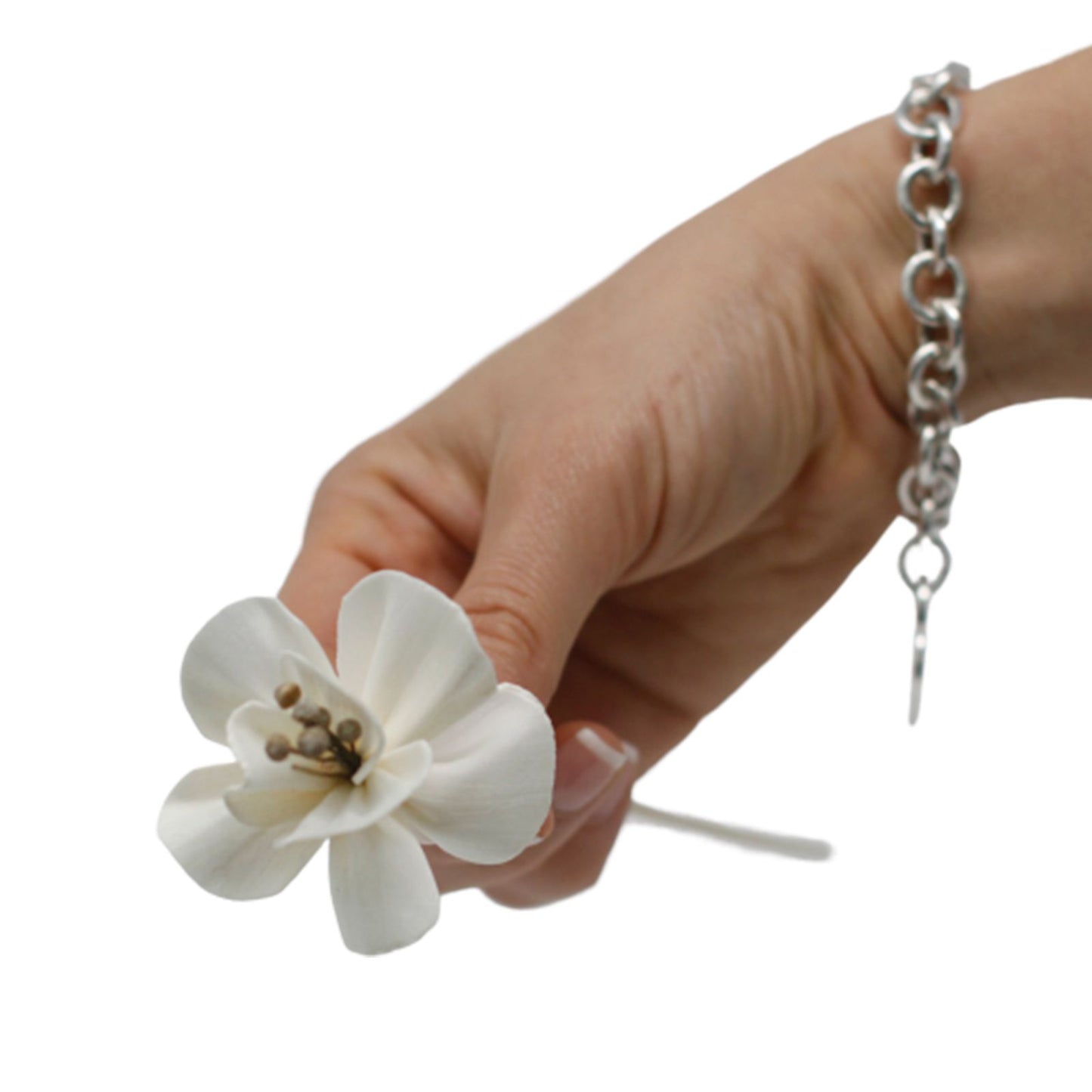 Diffuseur de fleurs naturelles - Lys en roseau