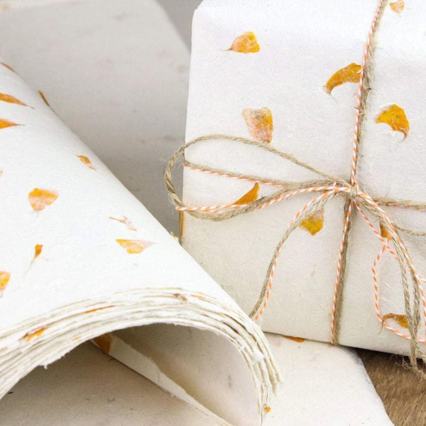 Papier cadeau fait main Lokta - Calendula