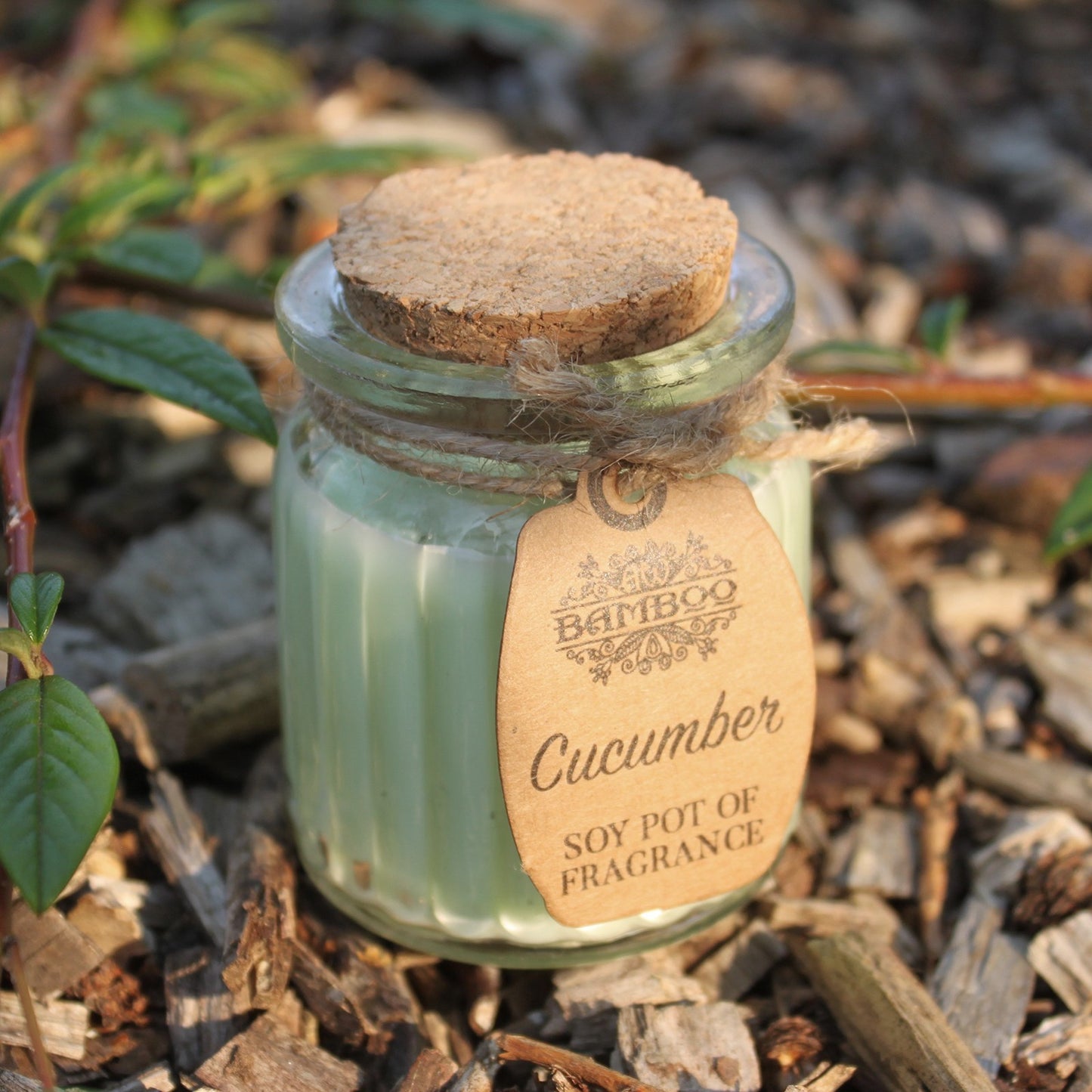 Bougie en pot de cire de soja - Concombre