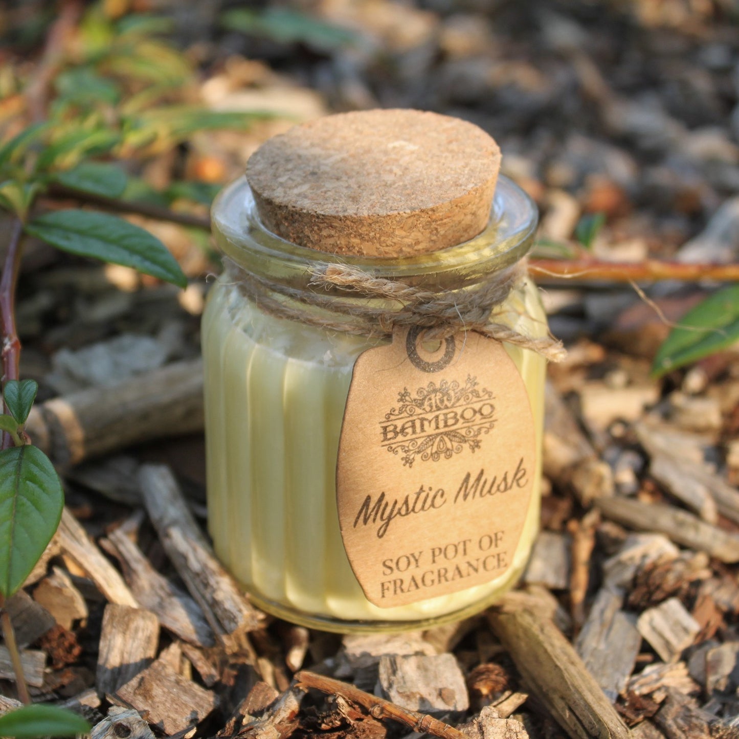 Bougie en pot en cire de soja - Musc