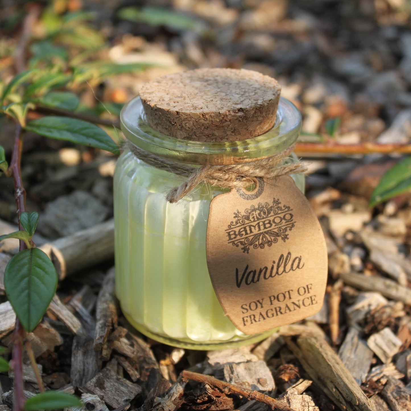Bougie en pot en cire de soja - Vanille