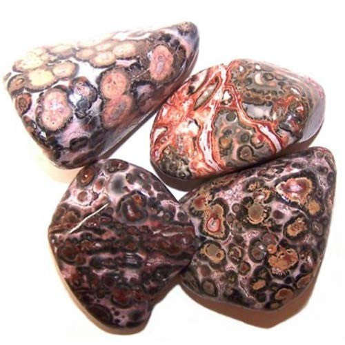 24 x L Tumble Stones - Peau de léopard