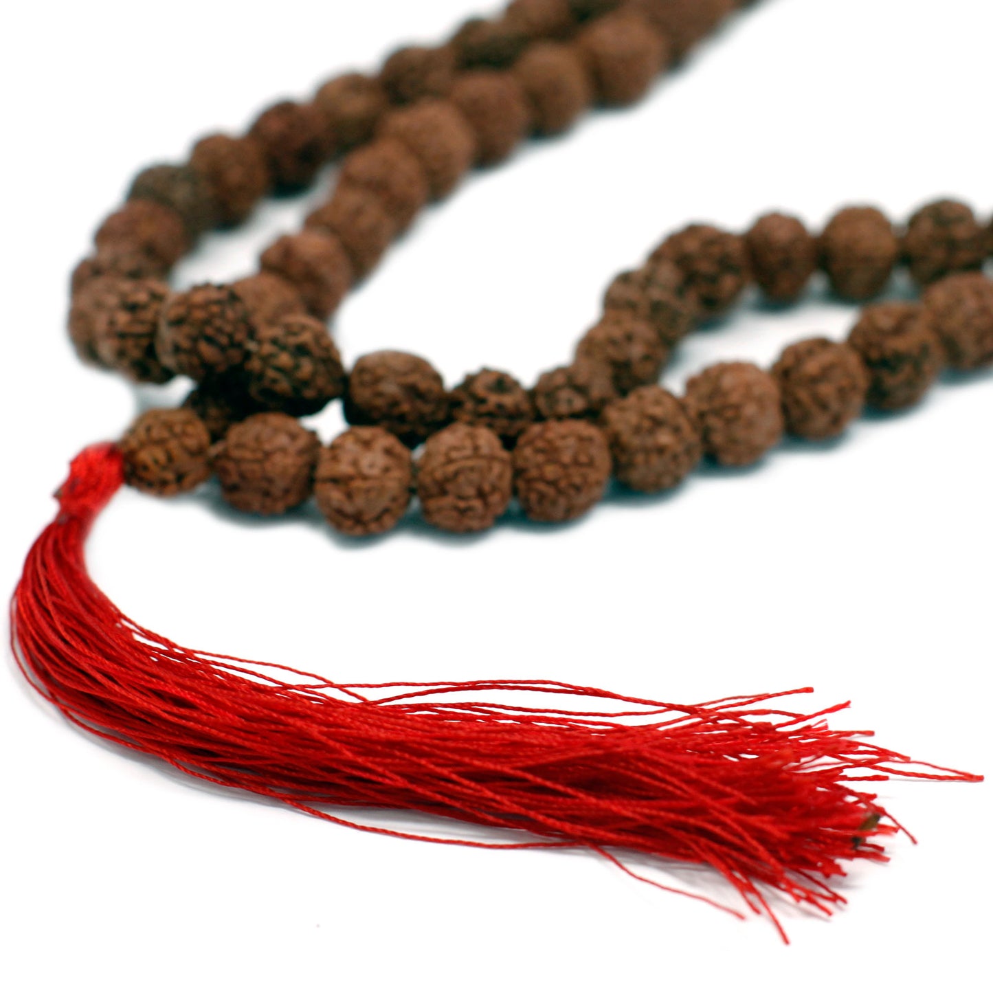 Mala Japa 108 Rudraksha - Marron