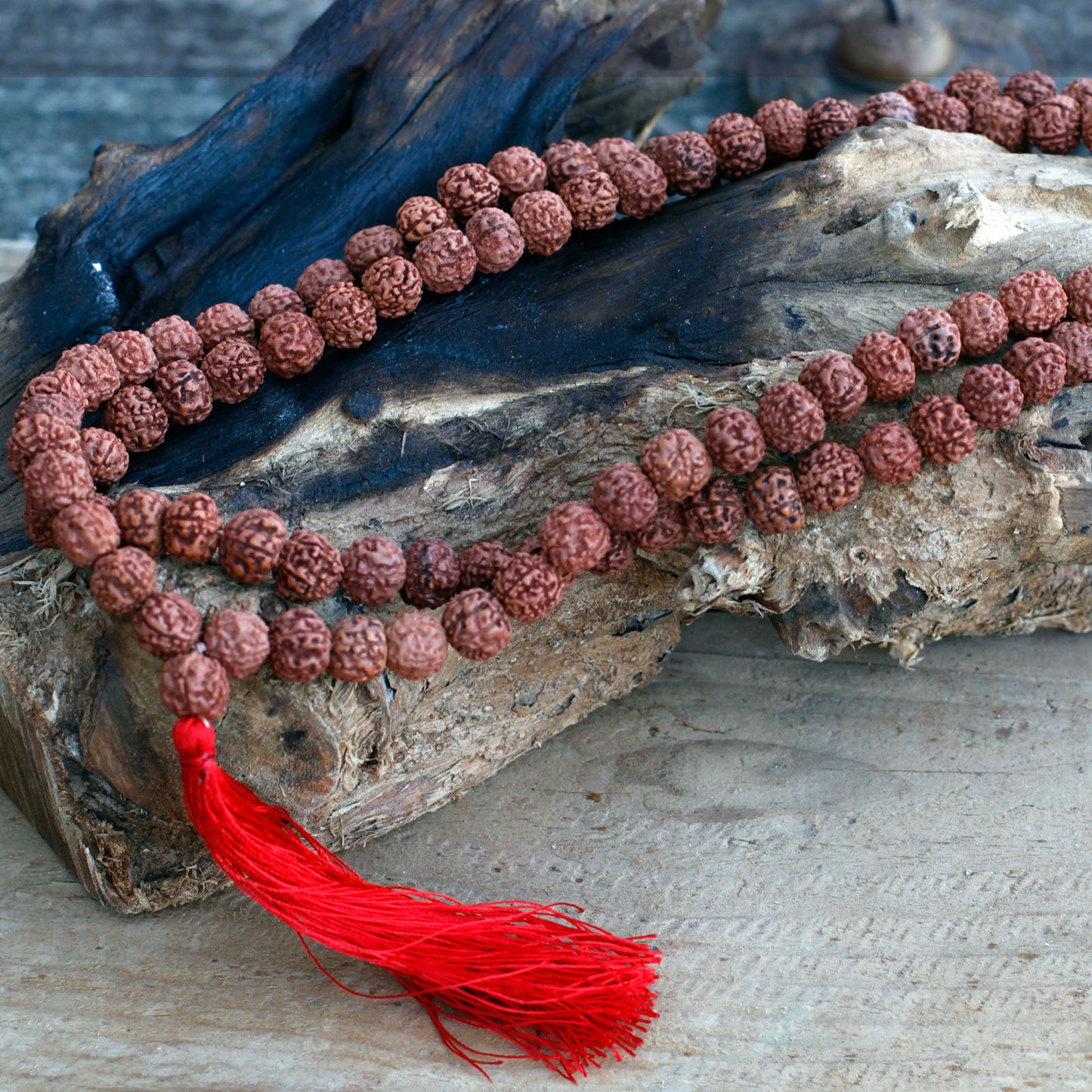 Mala Japa 108 Rudraksha - Marron