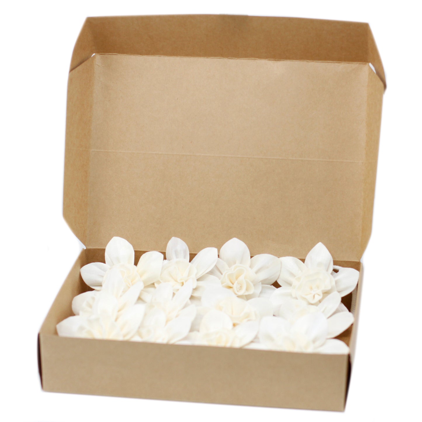 Diffuseur de fleurs naturelles - Grand lys sur corde