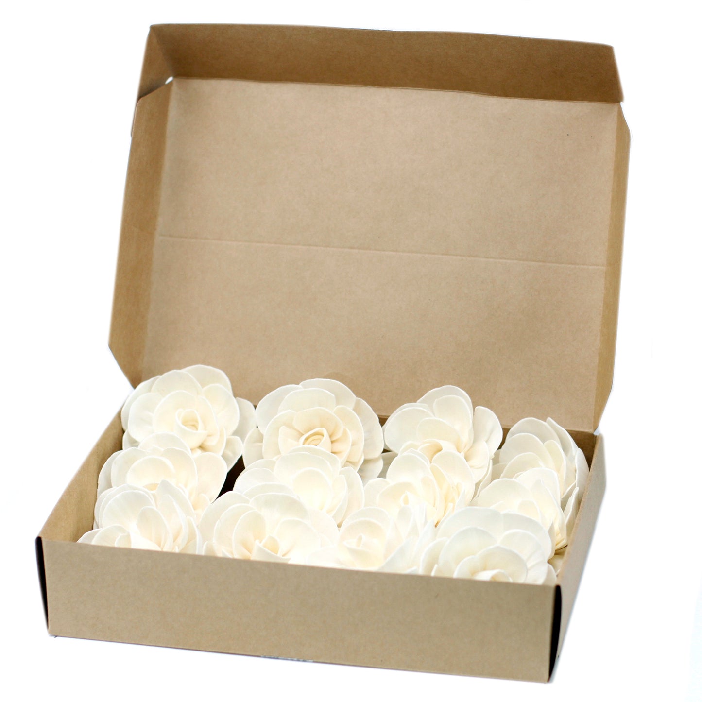 Fleurs naturelles pour diffuseur - Grand lotus sur corde