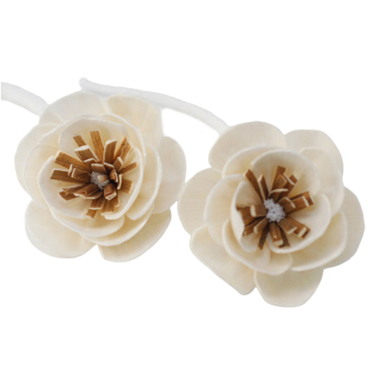 Fleurs naturelles pour diffuseur - Petit coquelicot sur corde