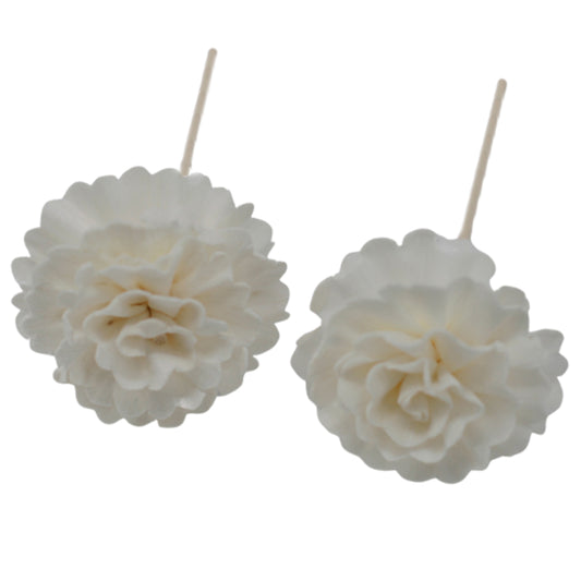 Diffuseur de fleurs naturelles - Œillet sur roseau