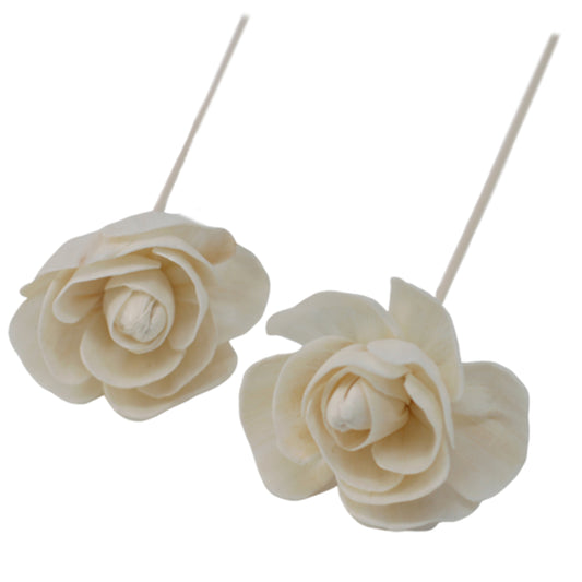 Diffuseur de fleurs naturelles - Rose en roseau