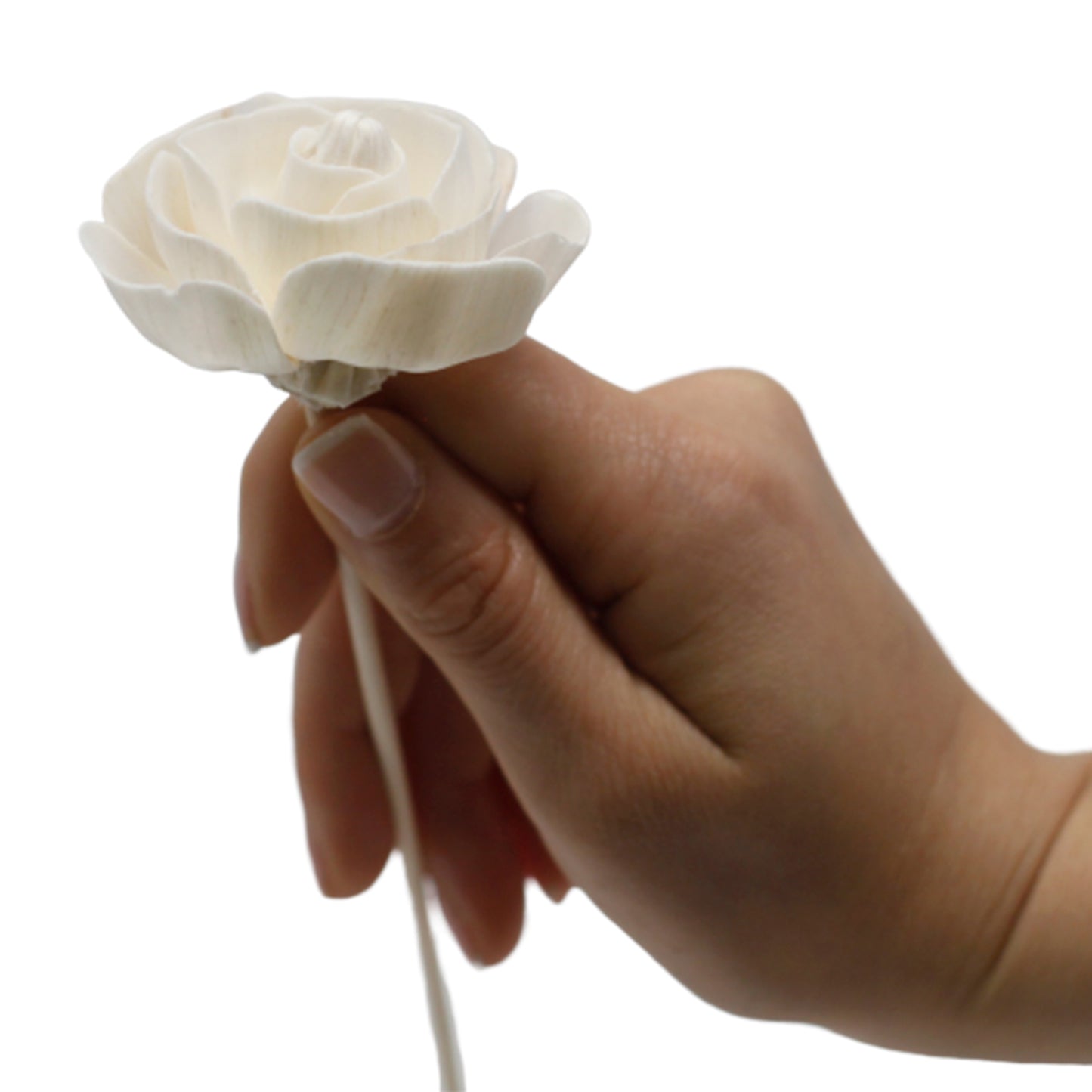 Diffuseur de fleurs naturelles - Rose en roseau