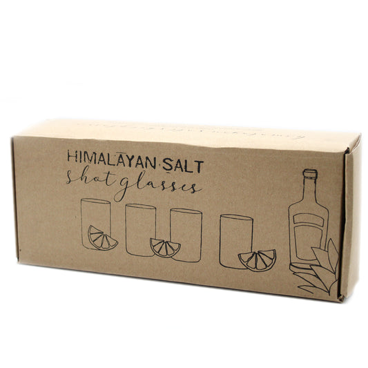 Ensemble de 4 verres à liqueur en sel de l'Himalaya et support de service en bois