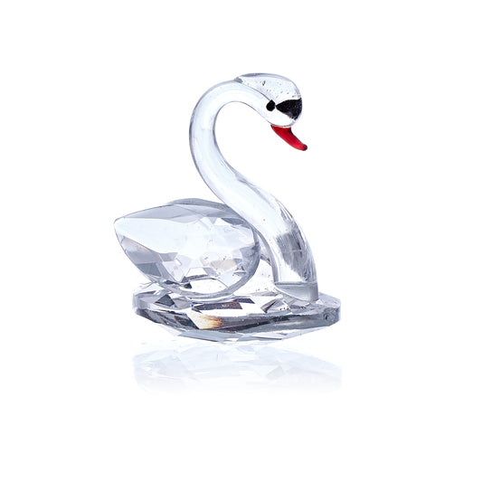 Cygne blanc
