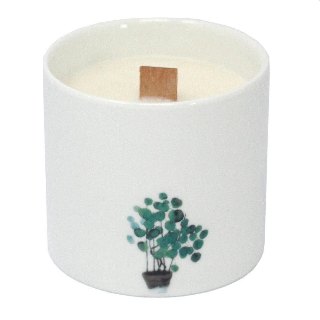 1 grande bougie botanique - Jasmin sauvage