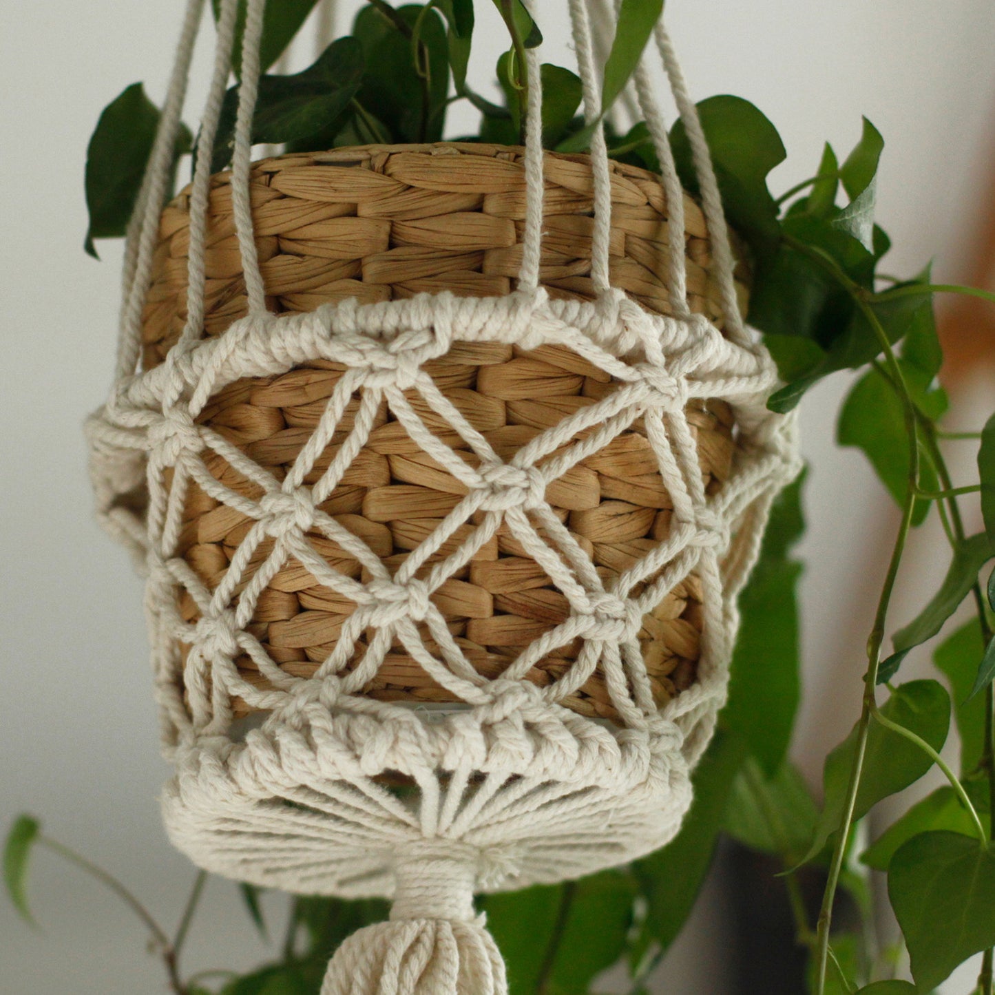 Jardinière en macramé - Petite