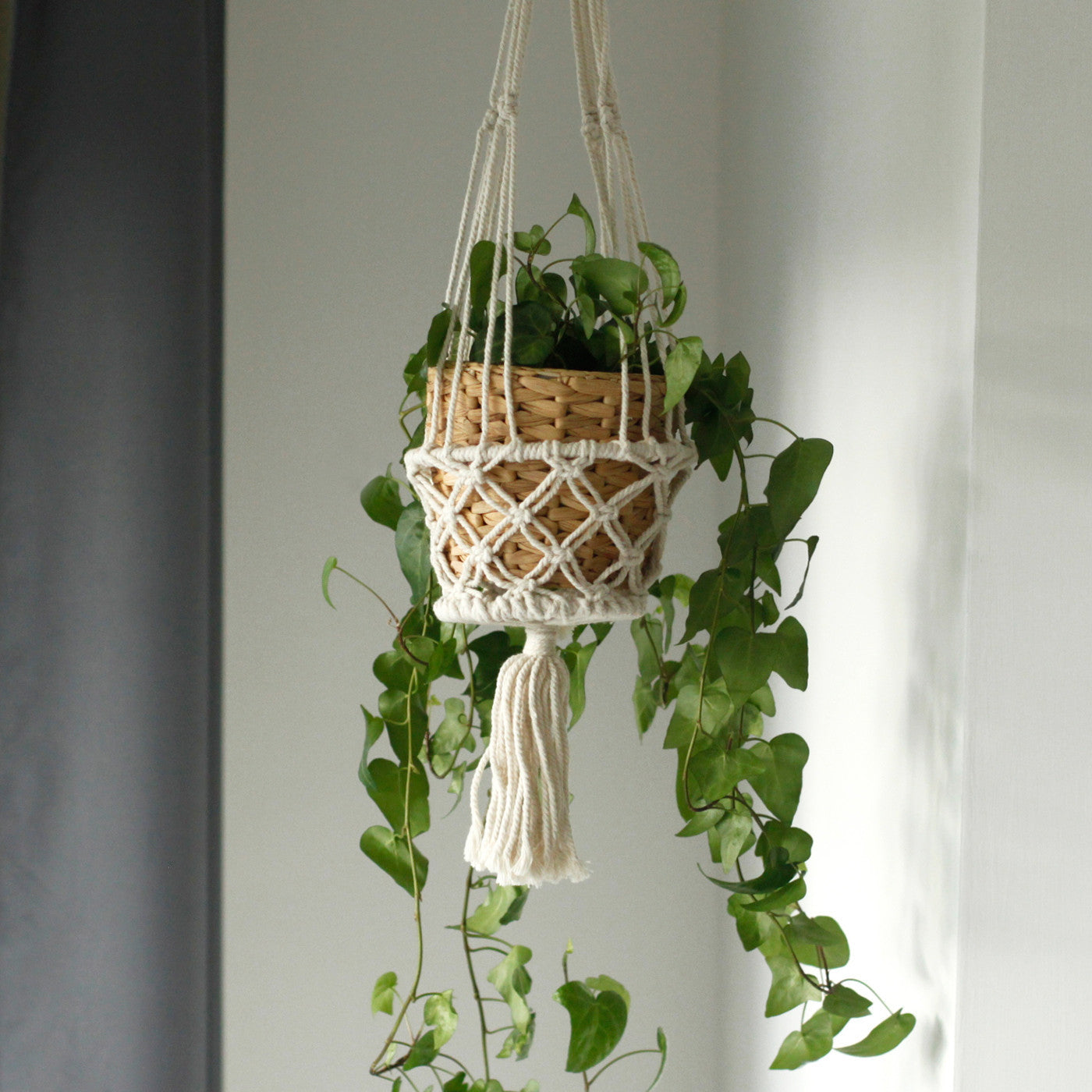 Jardinière en macramé - Petite