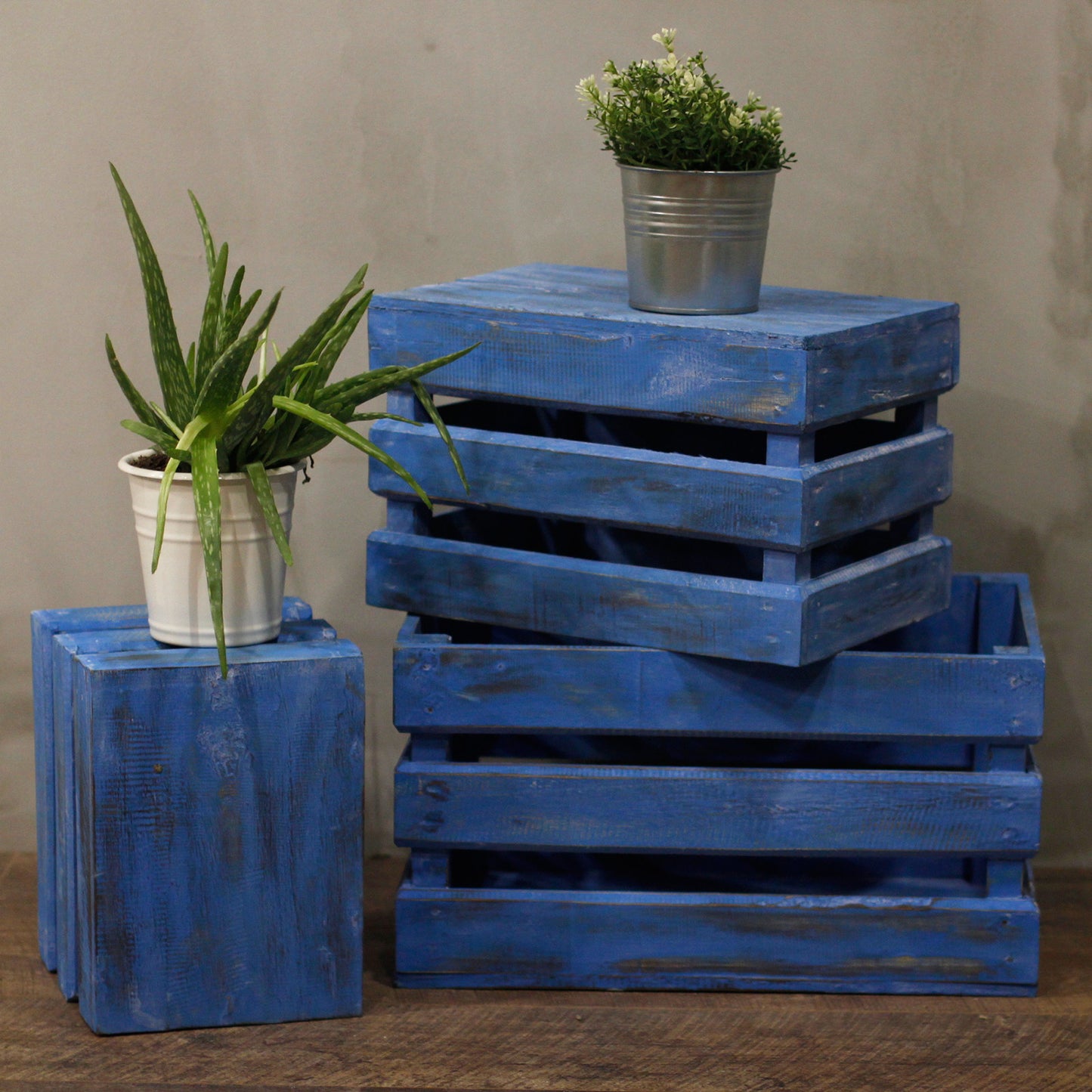 Coffret de fruits 3 pièces - Bleu