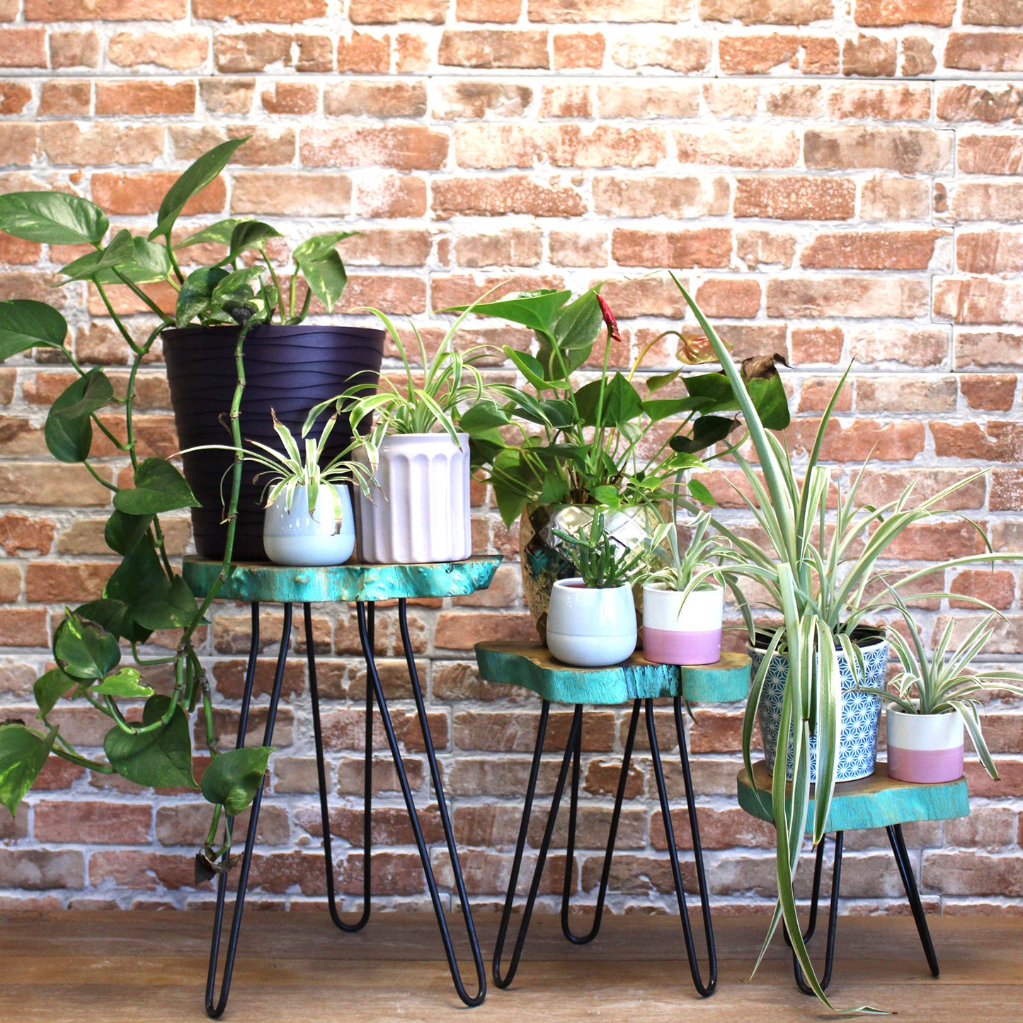 Lot de 3 jardinières en bois Gamell - Greenwash