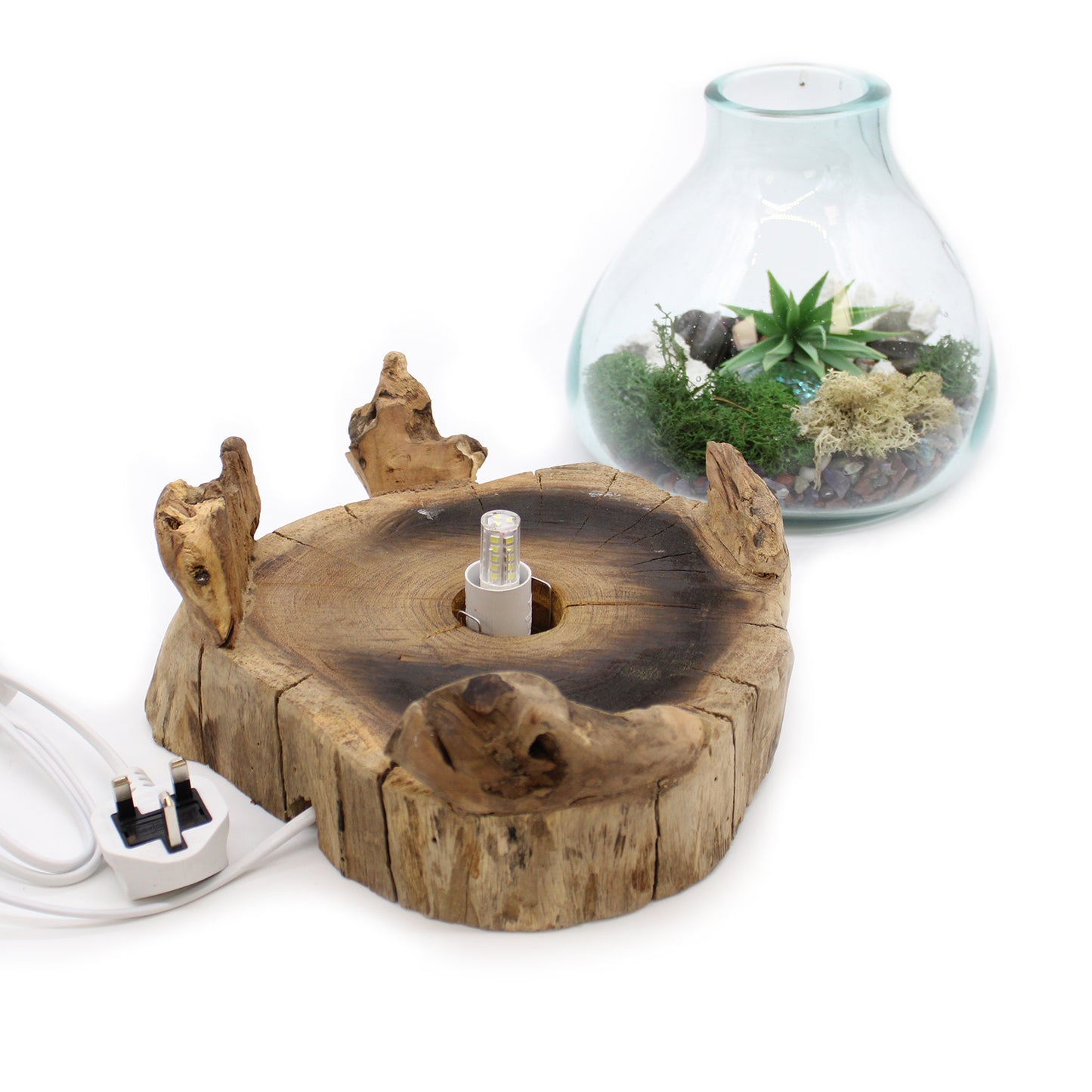 Grand aquarium en verre fusionné - 32 cm