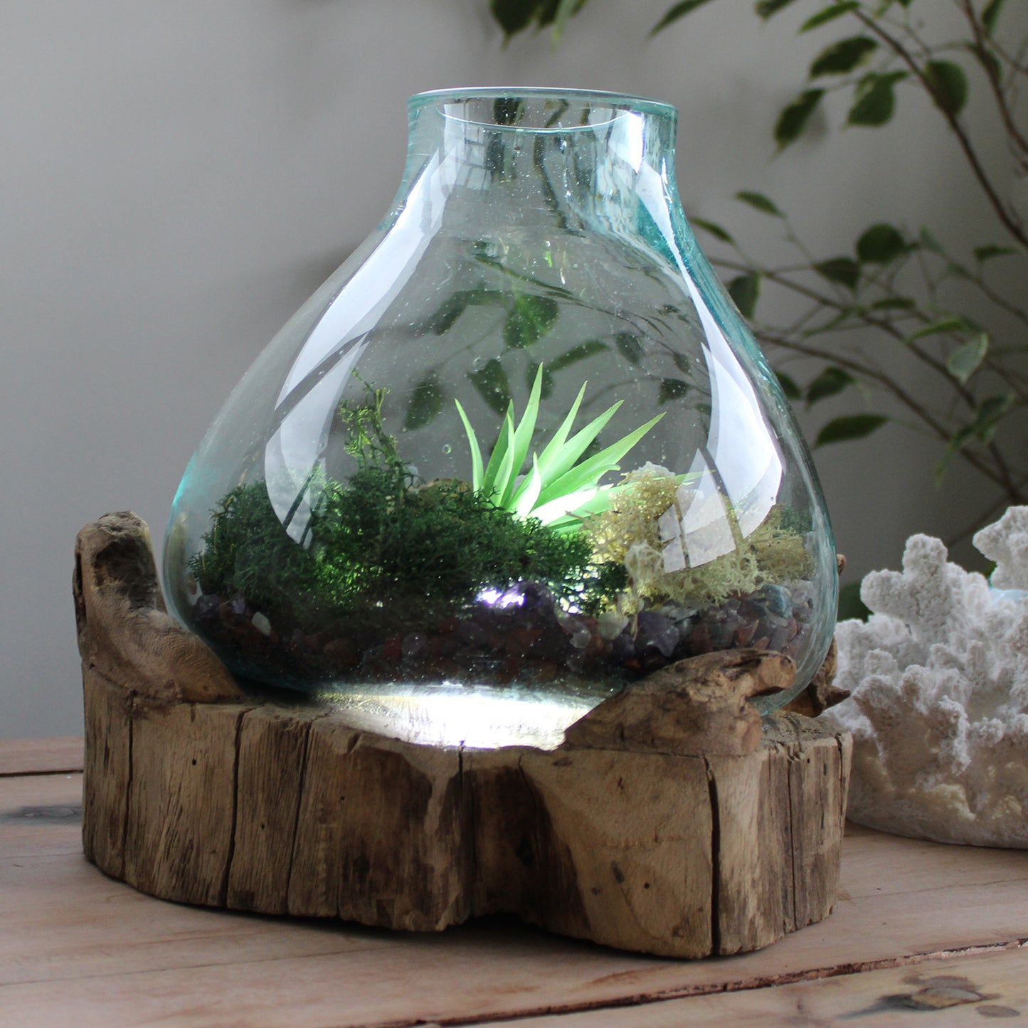 Grand aquarium en verre fusionné - 32 cm