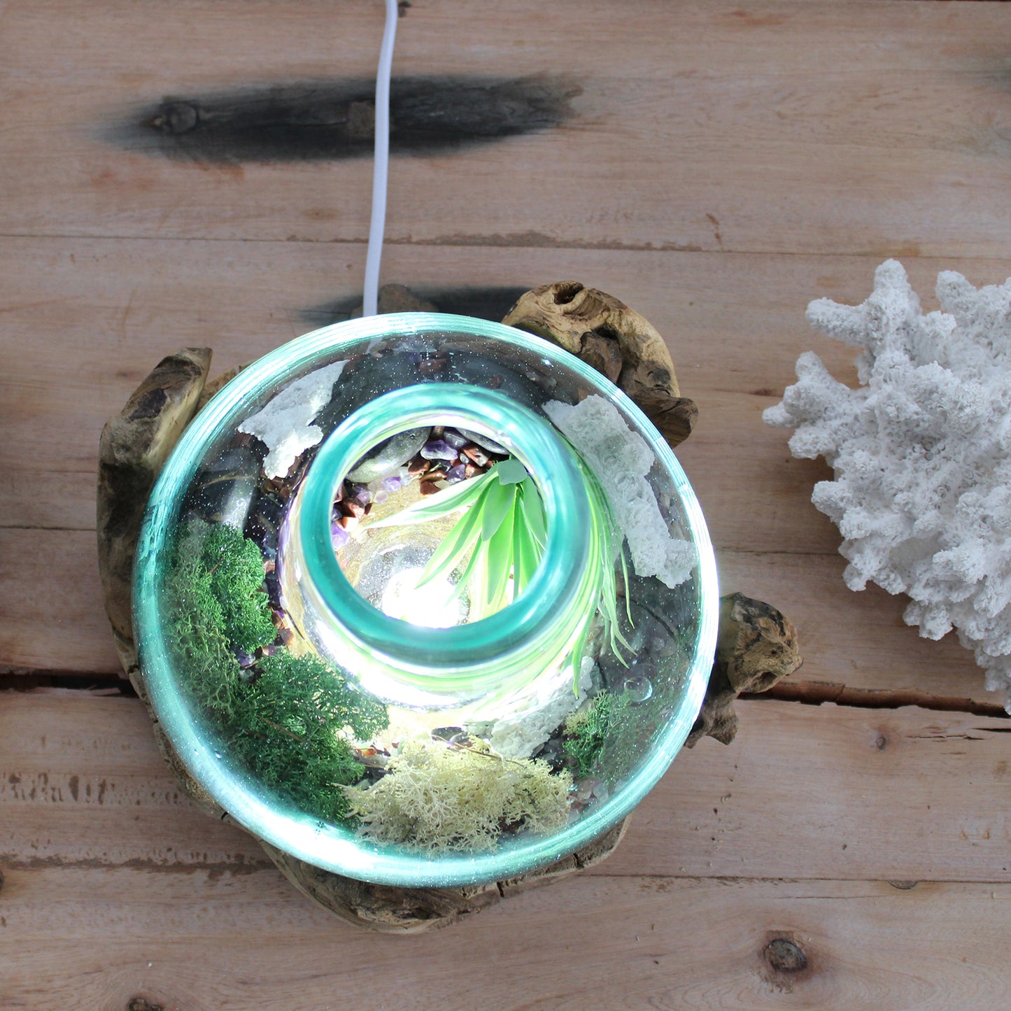 Grand aquarium en verre fusionné - 32 cm