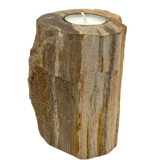 Bougeoir simple haut en bois pétrifié