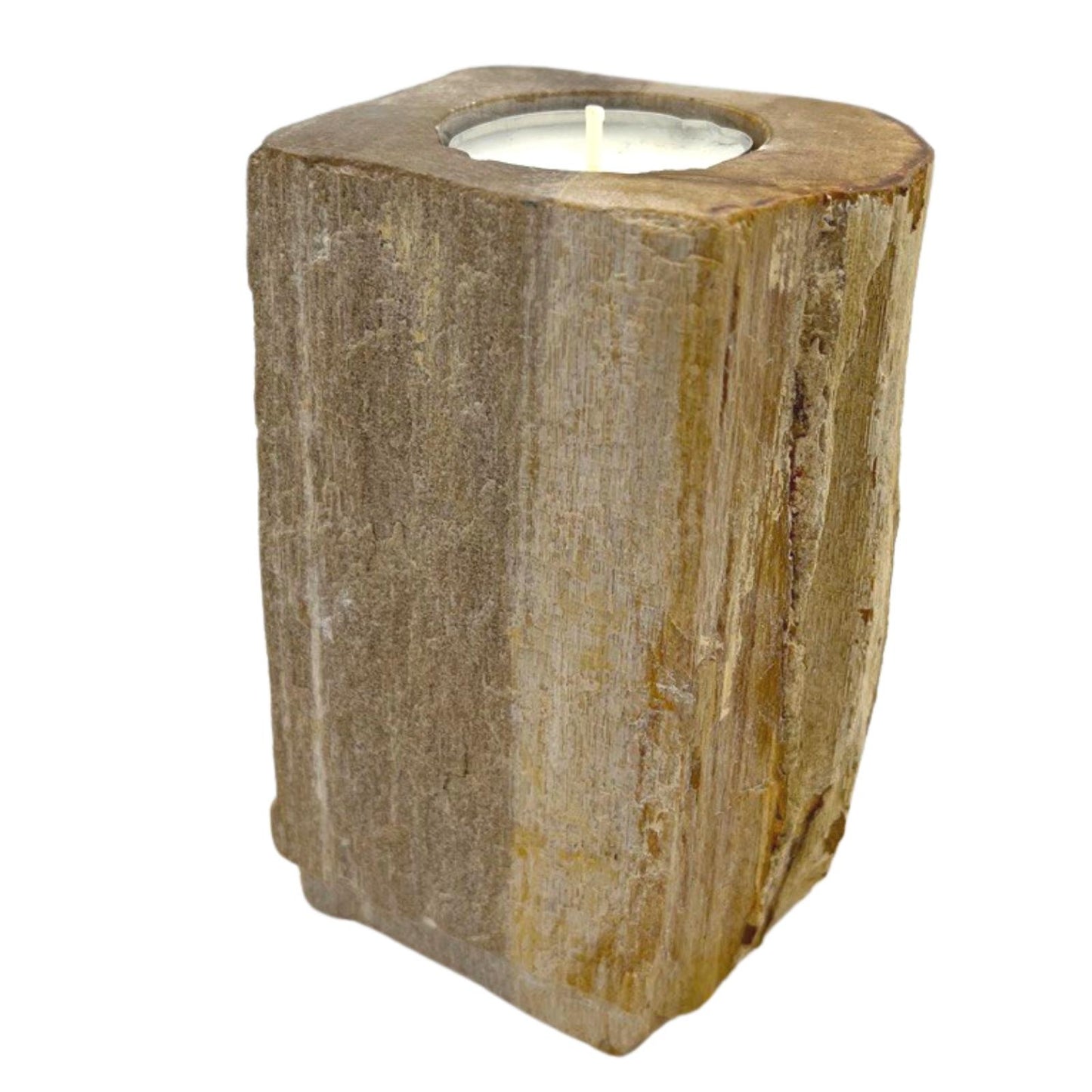 Bougeoir simple haut en bois pétrifié