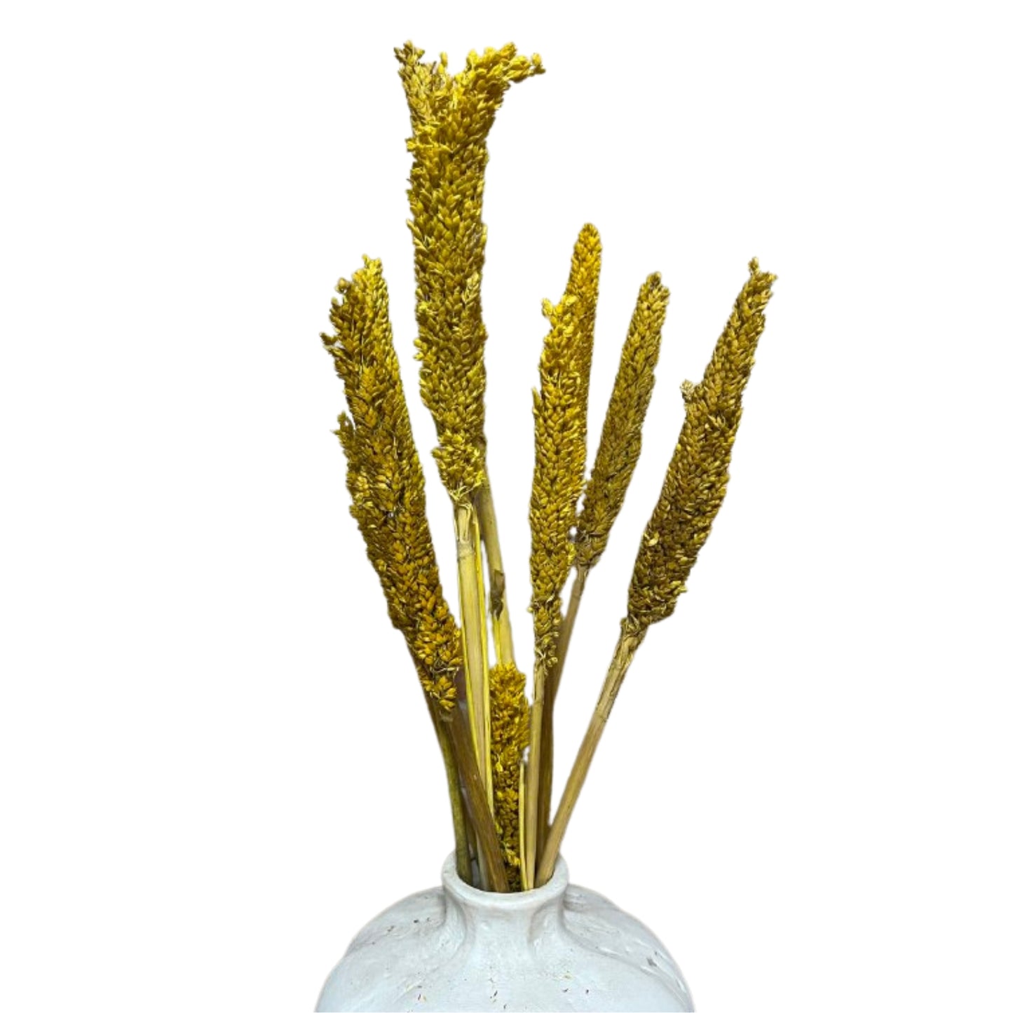 Bouquet d'herbes de Cantal - Ambre