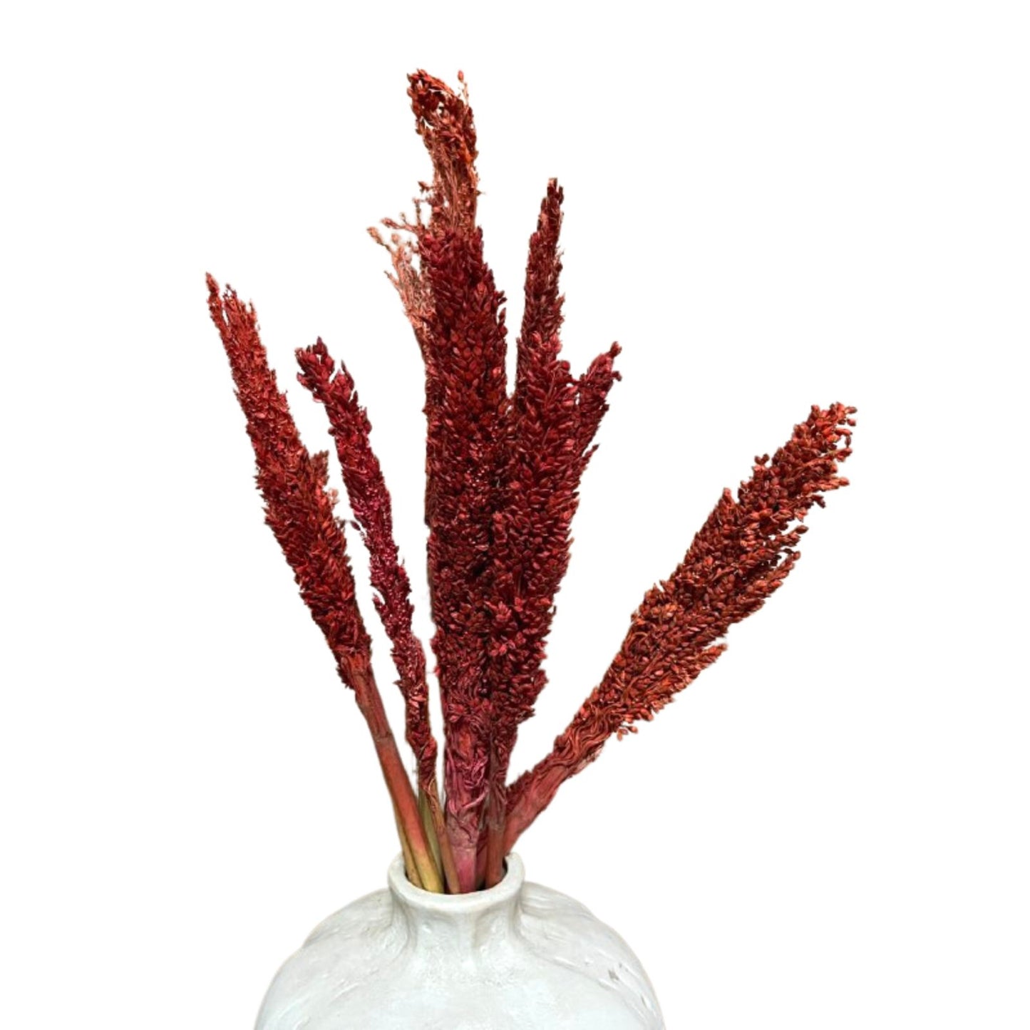 Bouquet d'herbe du Cantal - Feu
