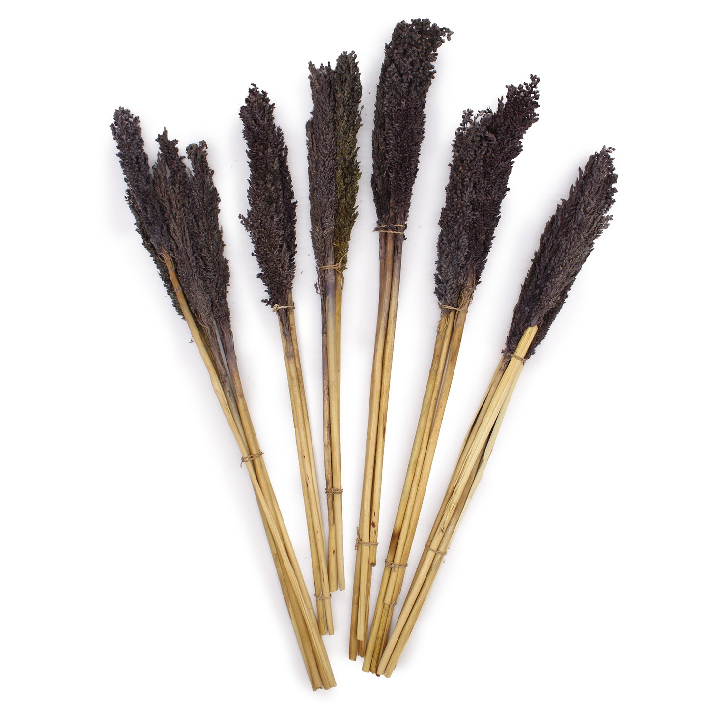 6 x Bouquet d'herbe de Cantal - Noir