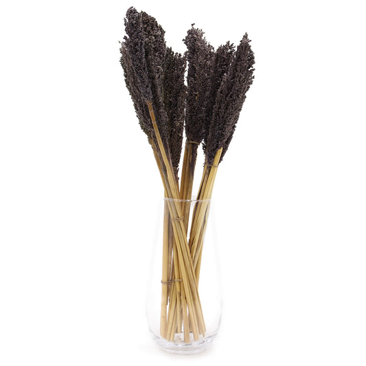 6 x Bouquet d'herbe de Cantal - Noir