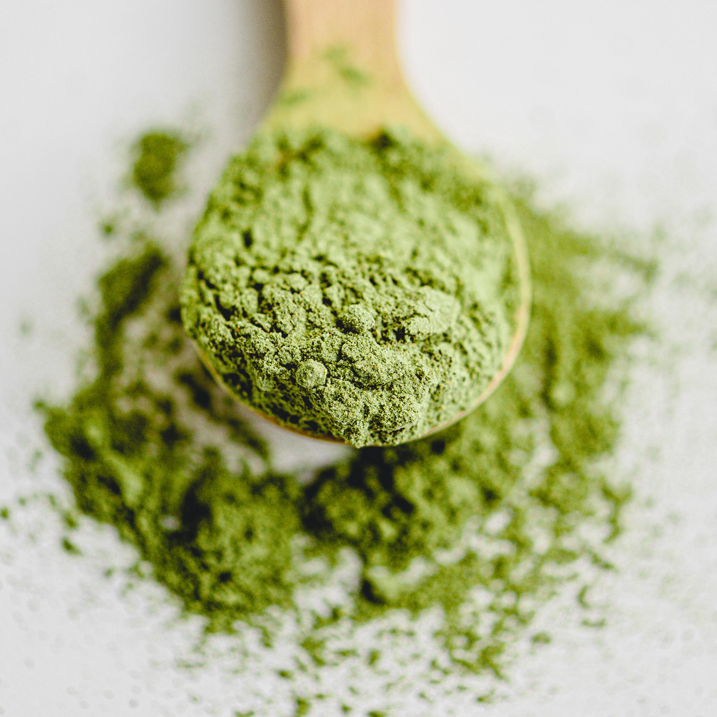 Thé Matcha Cérémonial Bio