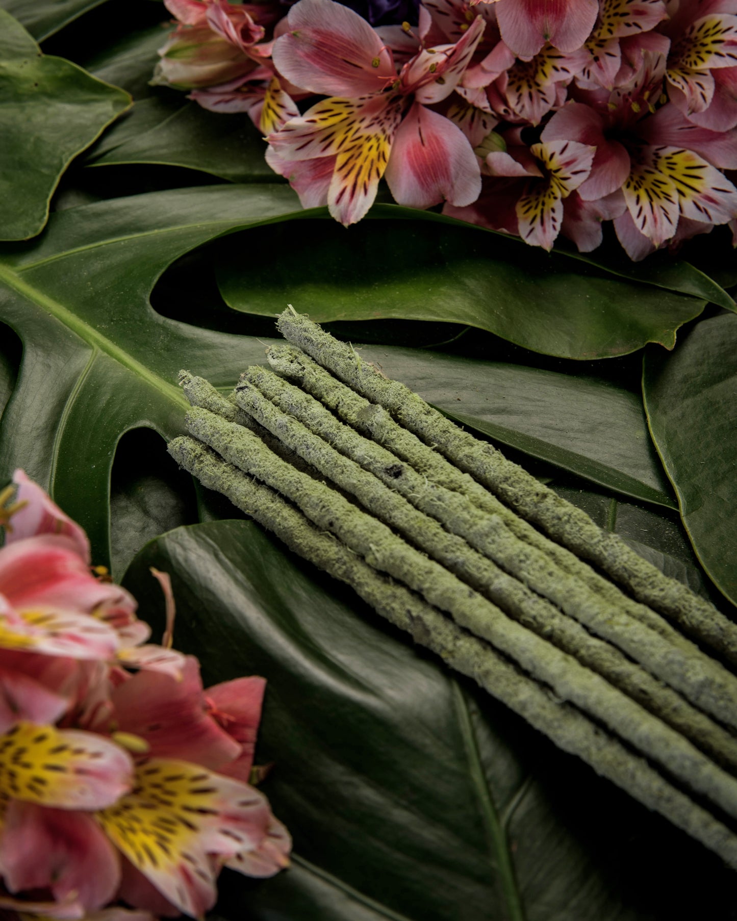 Encens botanique (Encens) Thé vert - Champa