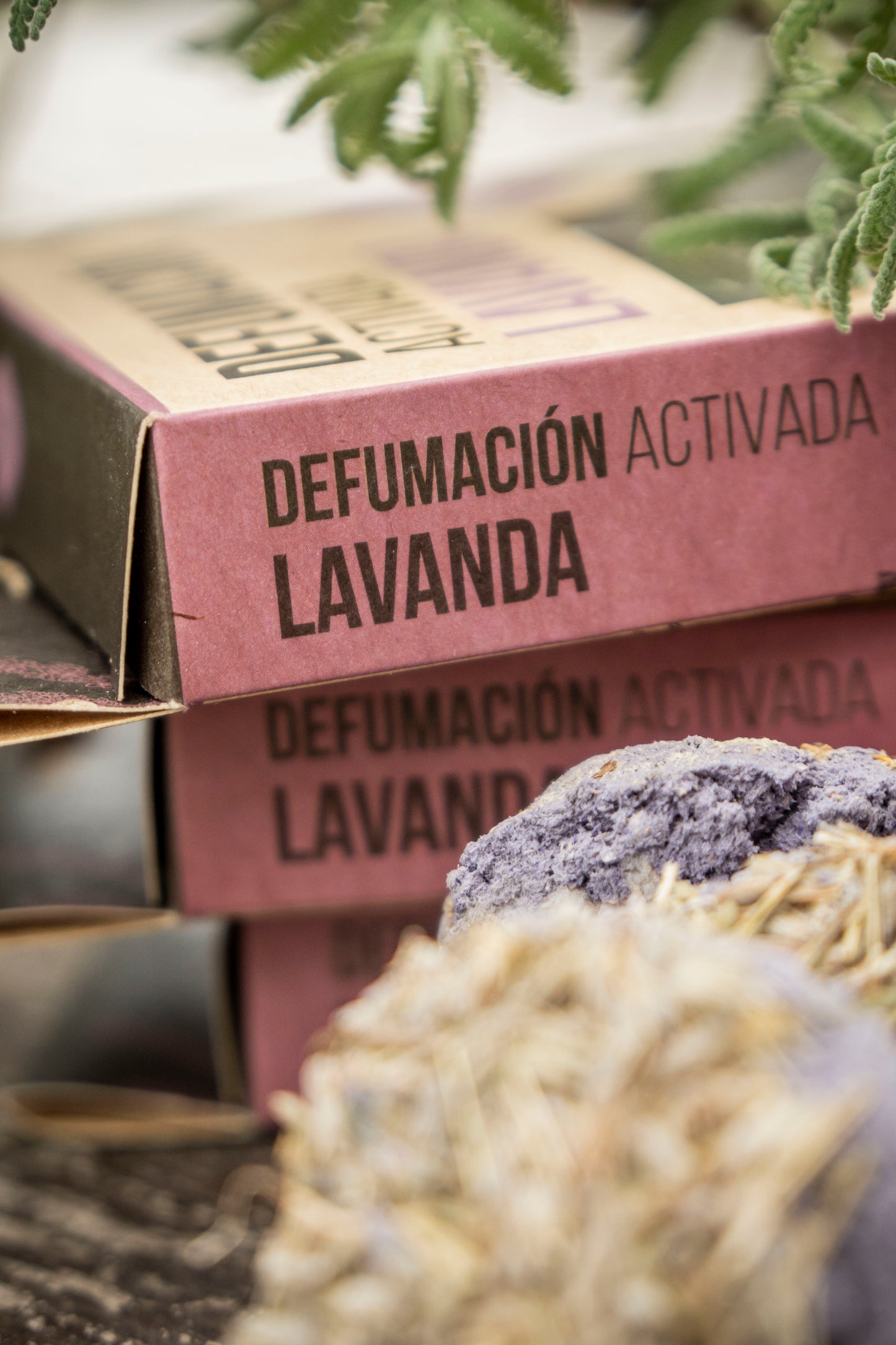 Comprimés d'encens en résine x 4 Lavande