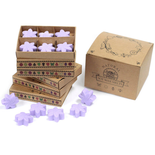 Coffret de 6 fondants à la cire de soja - Champs de lavande